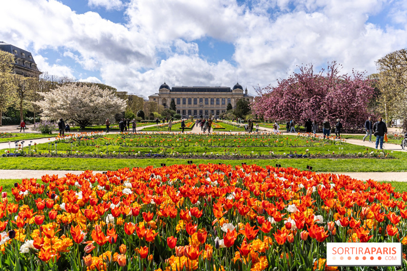 Que faire ce week-end à Paris et en Île-de-France, les 19, 20 et 21 avril 2024