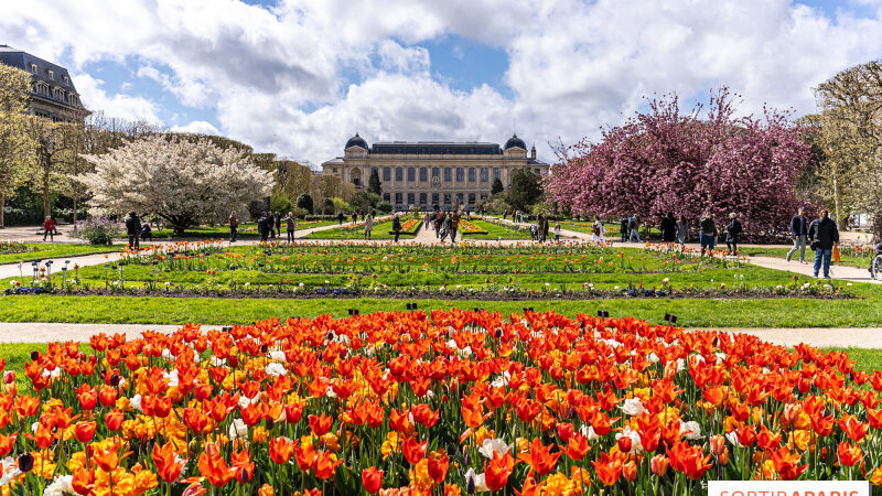 Le Jardin des Plantes de Paris et ses trésors à découvrir