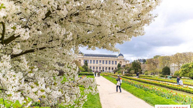 Que faire ce week-end à Paris et en Île-de-France, les 12, 13 et 14 avril 2024