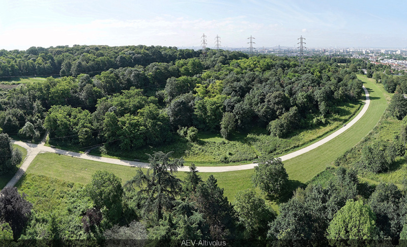 Le parc de la Butte Pinson, le spot verdoyant pour se croire en forêt, à Villetaneuse (93)