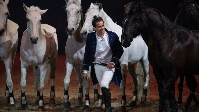 Danse avec les chevaux : un spectacle équestre de haute voltige au Paris Eiffel Jumping