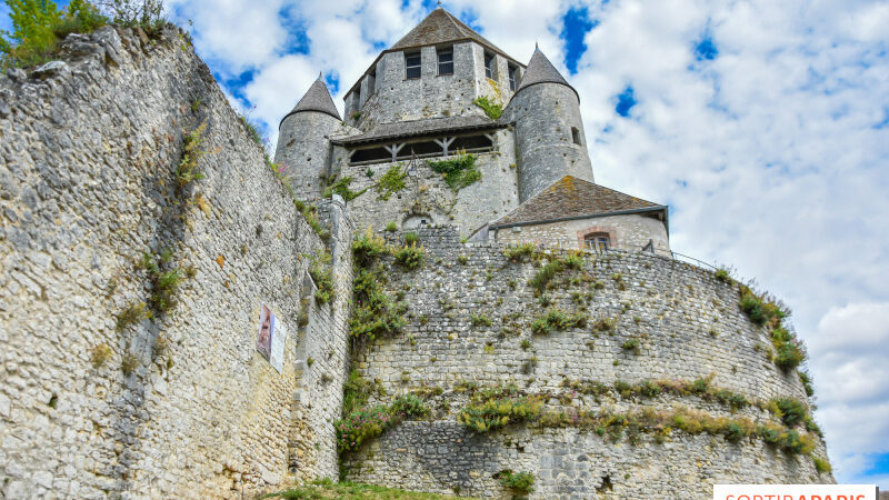 Nuit des Musées 2024 au Musée de Provins et du Provinois (77) : le programme