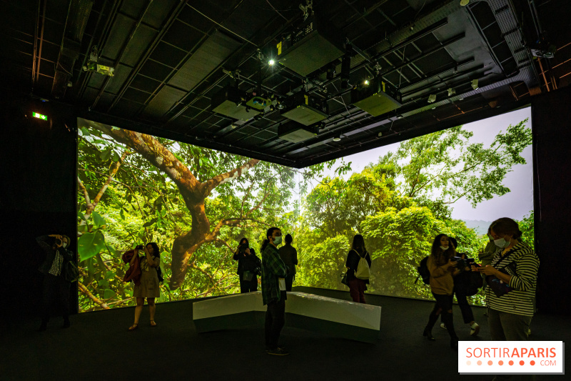 Journée de la Terre 2024 : les expositions sur la nature à voir pour le Earth Day à Paris