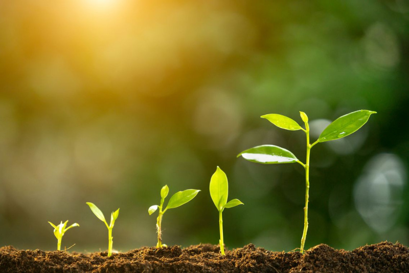 Naturally 2024, le salon bio qui célèbre la nature à la Porte de Versailles