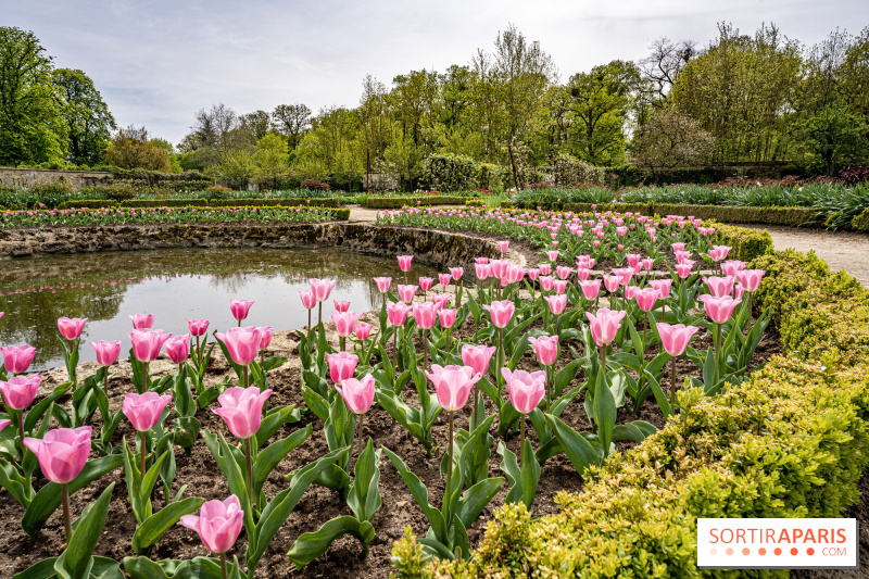 Rendez-vous aux Jardins 2024 : visite du Château de Saint-Jean-de-Beauregard (91)