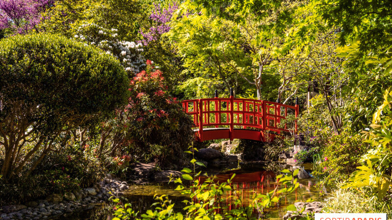 Le Parc de l’Amitié, le superbe parc japonais dans les Hauts-de-Seine