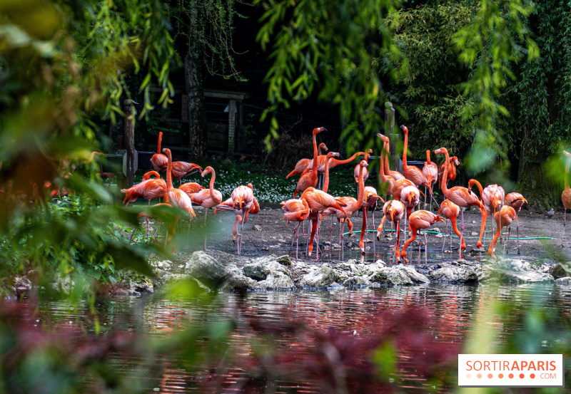 Le guide des Zoos, aquariums et ménageries à Paris et aux alentours