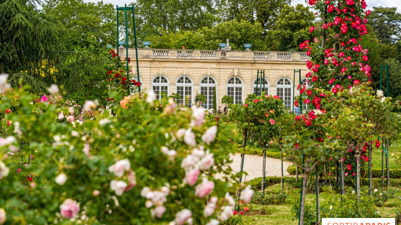 Que faire dans les quartiers d’Auteuil, de Passy et du bois de Boulogne ? Nos bonnes adresses