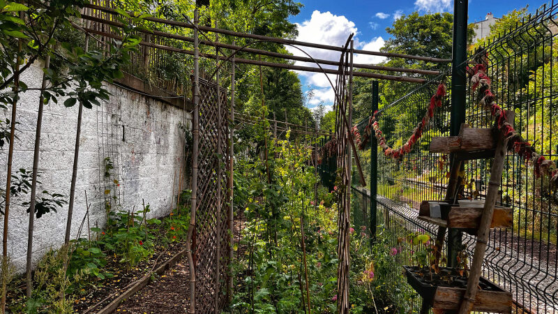 Rendez-vous aux Jardins 2024 à la Recyclerie à Paris : à la conquête de la petite ceinture !