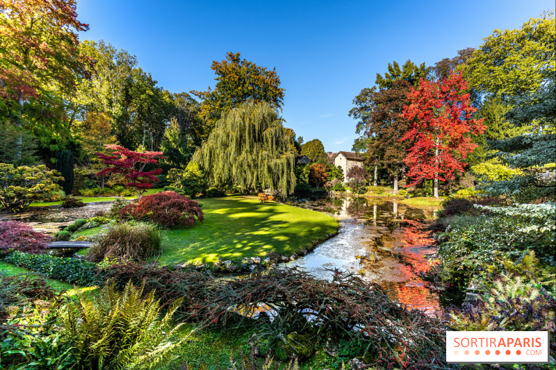 Le jardin japonais du Château de Courances : balade bucolique et dépaysante en Île-de-France