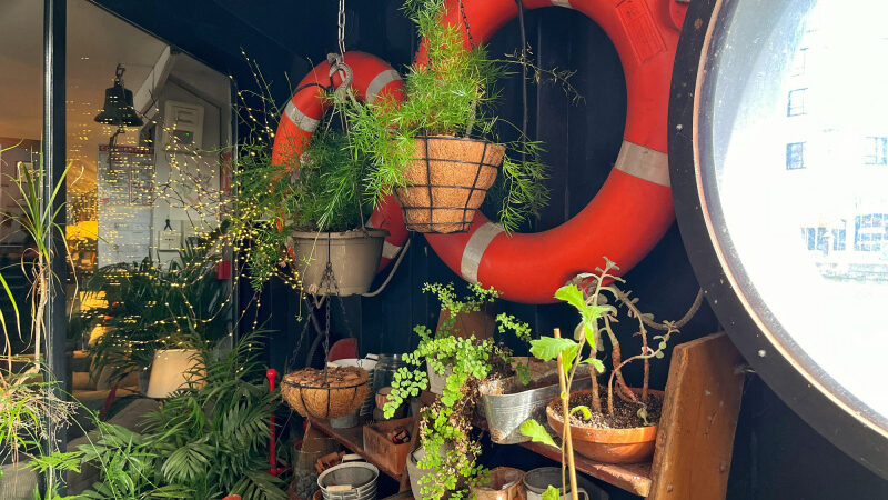 Bons Plants, un festival pour les amateurs de livres et de plantes, sur une péniche