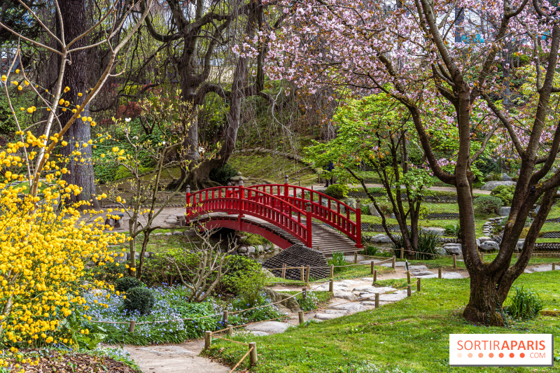 Le superbe jardin japonais du Musée Albert Kahn et ses autres jardins qui nous emmènent en voyage