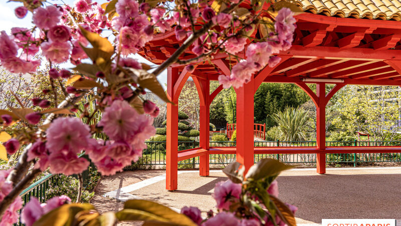 Le magnifique Jardin japonais du Square Médéric à Colombes