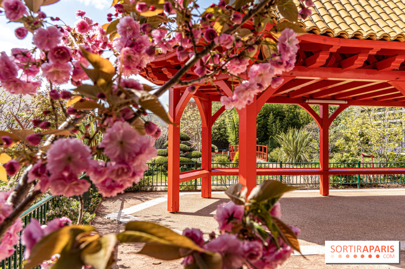 Le magnifique Jardin japonais du Square Médéric à Colombes