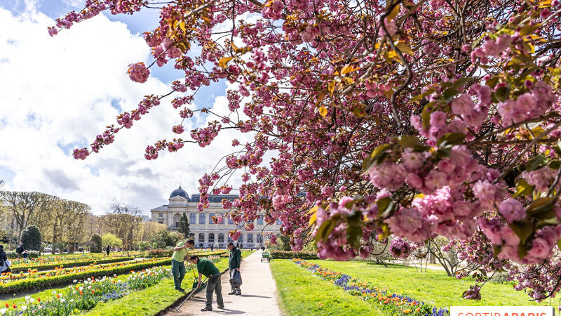 Bons plans du week-end du 31 mai au 2 juin 2024 à Paris : sorties gratuites ou pas chères