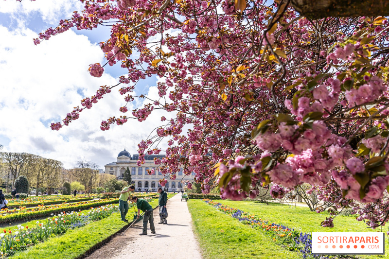 Bons plans du week-end du 31 mai au 2 juin 2024 à Paris : sorties gratuites ou pas chères