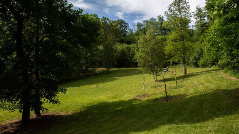 Fête de la Nature 2024 au Parc Schlumberger à Cormeilles-en-Parisis dans le Val d’Oise