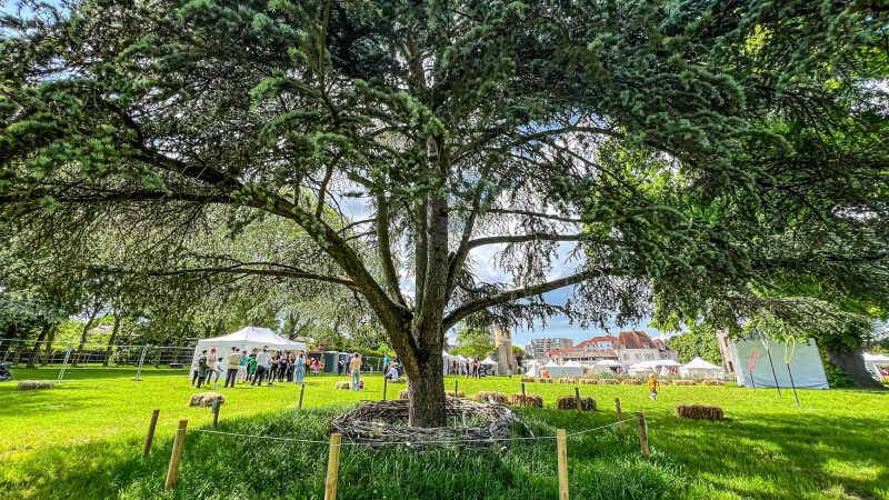 Rendez-vous aux jardins 2024 au Parc de Diane dans les Yvelines (78)