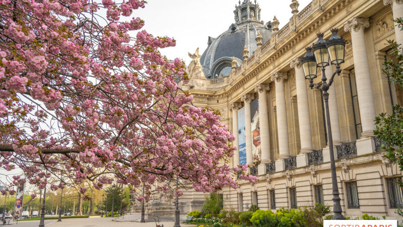 Mai 2024 à Paris : les jolies expositions à voir dans la capitale et en Île-de-France