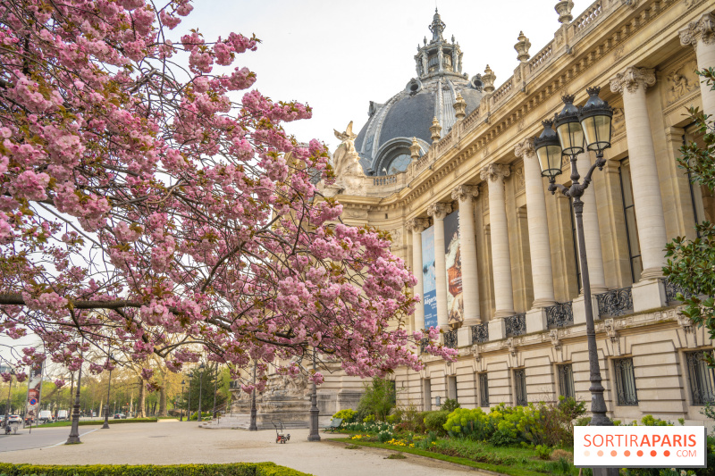 Mai 2024 à Paris : les jolies expositions à voir dans la capitale et en Île-de-France