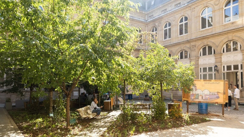 Nuits des Forêts 2024 à Paris : les animations nature gratuites de l’Académie du Climat