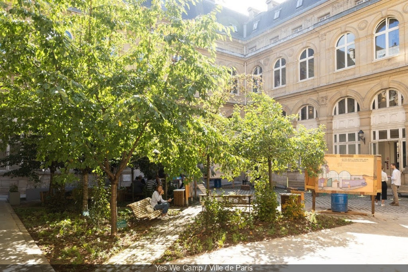 Nuits des Forêts 2024 à Paris : les animations nature gratuites de l’Académie du Climat