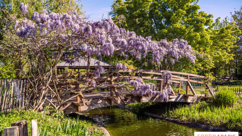 Une journée bucolique à Rueil-Malmaison, à la découverte de la ville de Napoléon et Joséphine