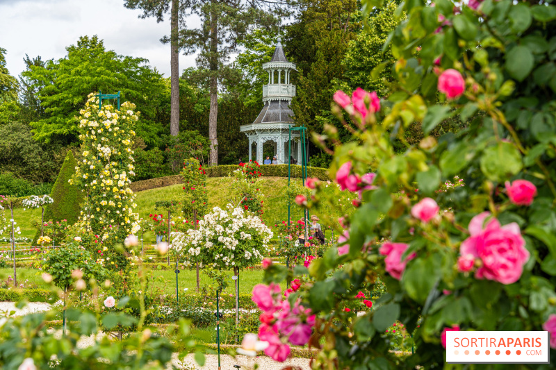 Le parc de Bagatelle, sa roseraie et ses sublimes jardins à découvrir