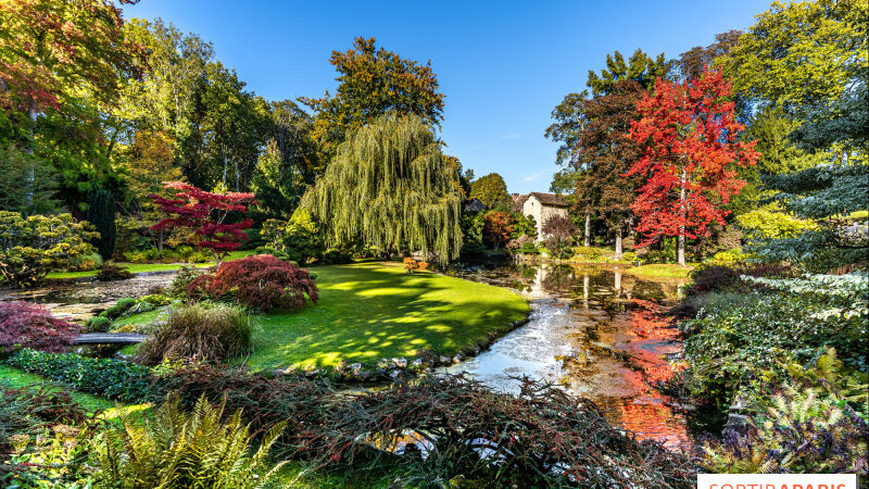 Rendez-vous aux Jardins 2024 : les beaux jardins des Châteaux d’Ile-de-France à découvrir ce week-end