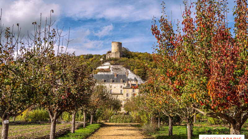 Rendez-Vous aux Jardins dans le Val d’Oise : les bons plans du 95