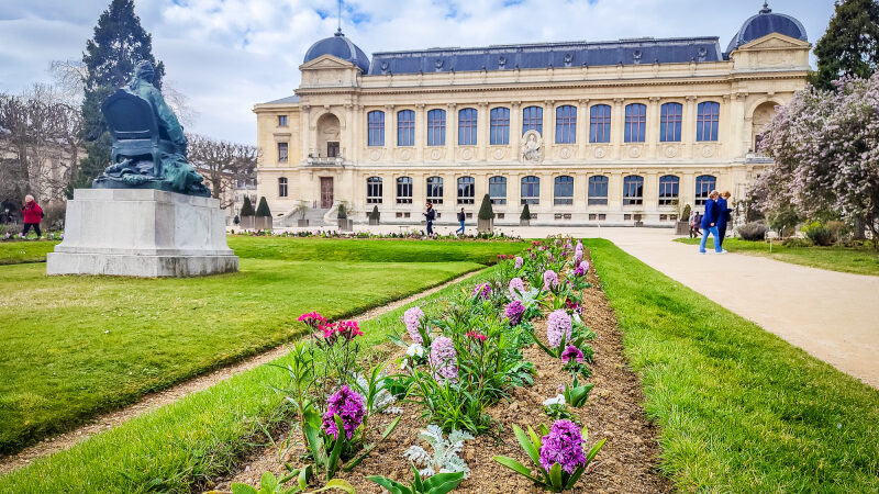 Nuit des Musées 2024 : les musées autour de la science à visiter en nocturne à Paris