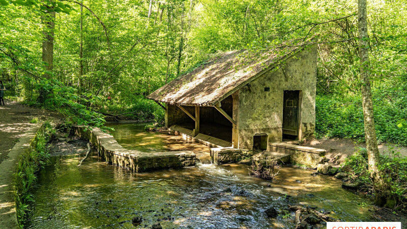 Fête de la Nature dans les Yvelines (78) 2024 : Les bons plans au programme