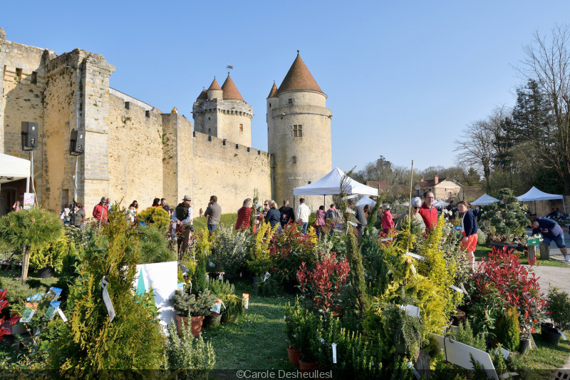 Rendez-vous aux Jardins 2024 : le programme du château de Blandy-les-Tours (77)