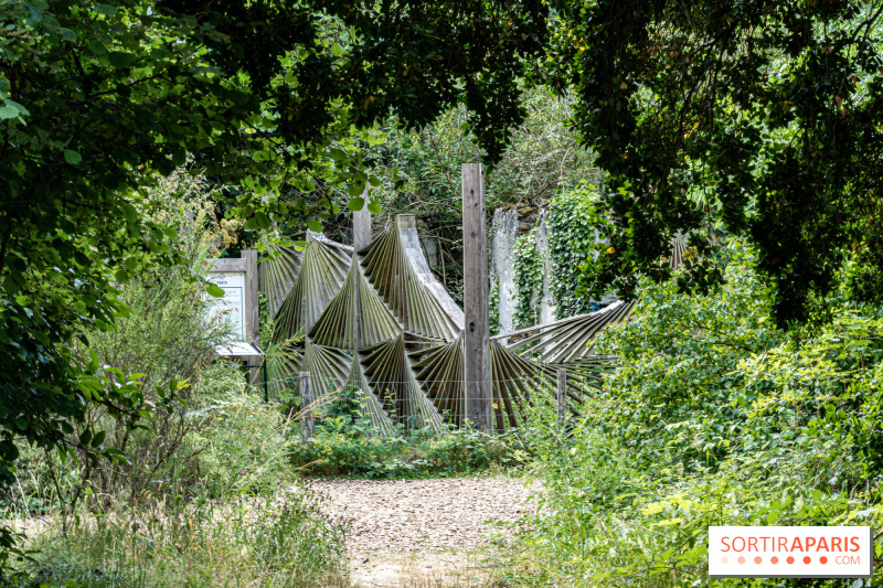 Les Nuits des Forêts 2024 à Paris : Le programme nature