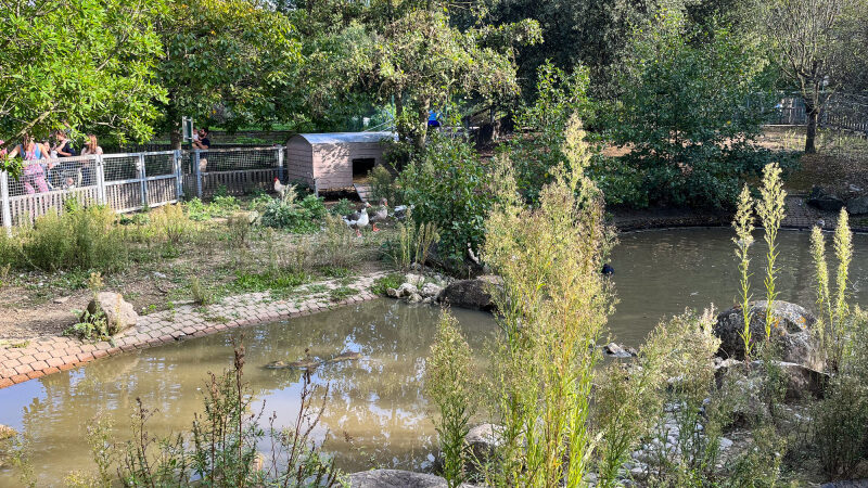 Rendez-vous aux jardins 2024 à la Ferme du parc des Chanteraines (92)