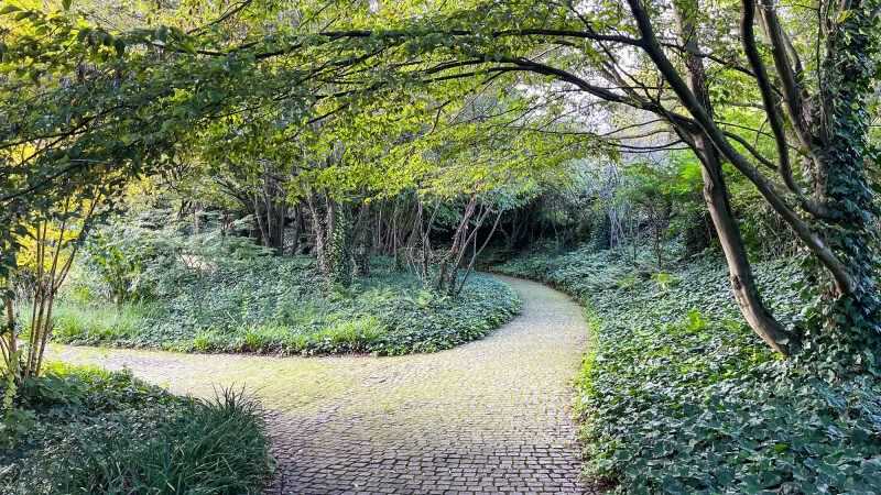 Fête de la Nature dans les Hauts-de-Seine 2024 (92) : Les bons plans gratuits au programme