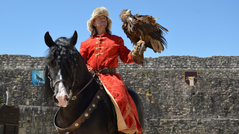 Les Aigles des Remparts de Provins, le spectacle de fauconnerie dans la cité médiévale