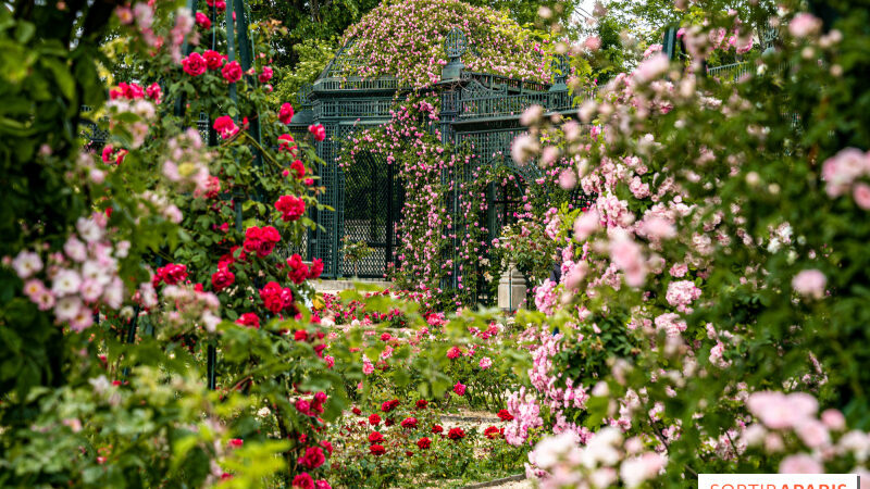 Rendez-vous aux Jardins 2024, le programme à Paris et en Ile-de-France des plus beaux jardins