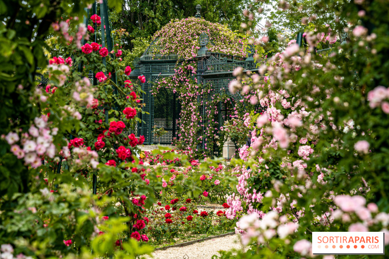 Rendez-vous aux Jardins 2024, le programme à Paris et en Ile-de-France des plus beaux jardins