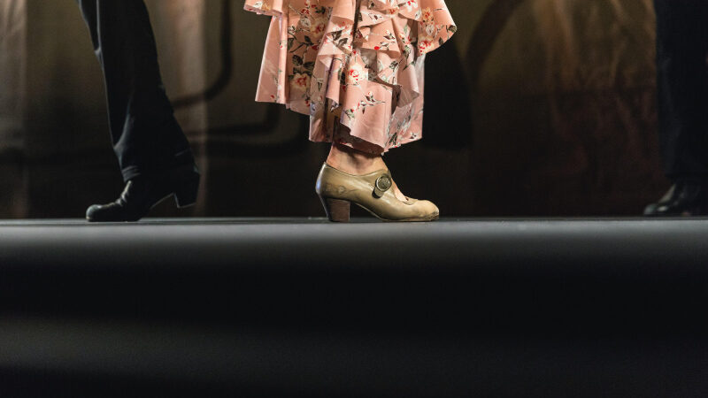Authentic Flamenco : le spectacle de danse vibrant de l’Opéra royal de Madrid au Théâtre Mogador