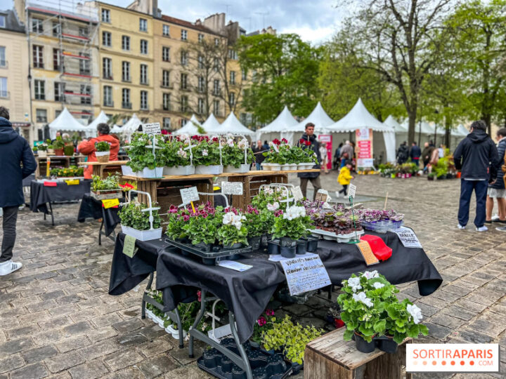 Les Fêtes des Plantes, marchés et Jardins à Paris et en Ile-de-France 2024