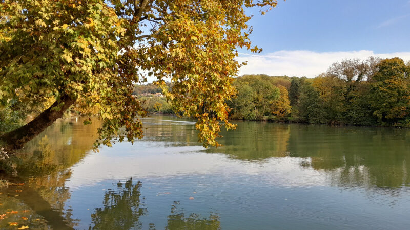 Où se baigner dans le Val-de-Marne ? Les bases de loisirs, piscines et plages dans le 94