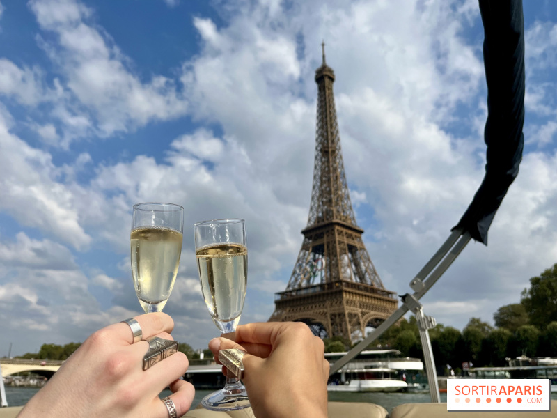 Sortie romantique : Une croisiere privée en couple le long de la Seine à Paris