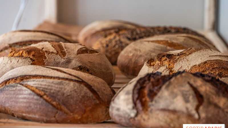 Boulangerie Nouvelle, la boulangerie BIO artisanale aux pains au levain et farines anciennes du 11e