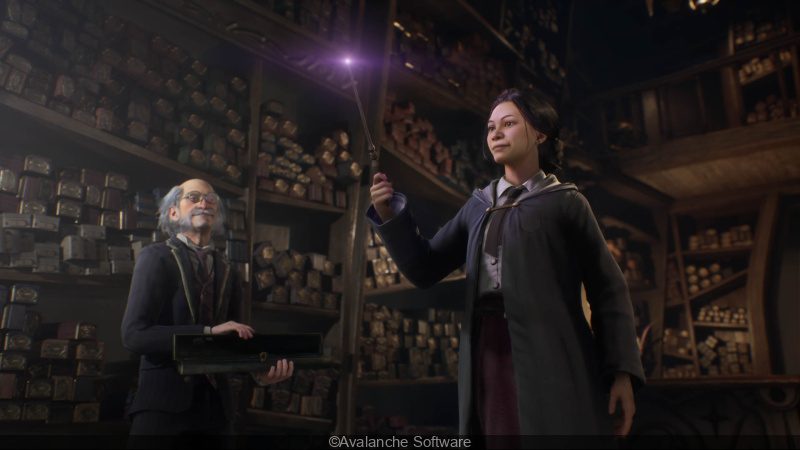 Hogwarts Legacy 2 : une suite bel et bien dans les cartons