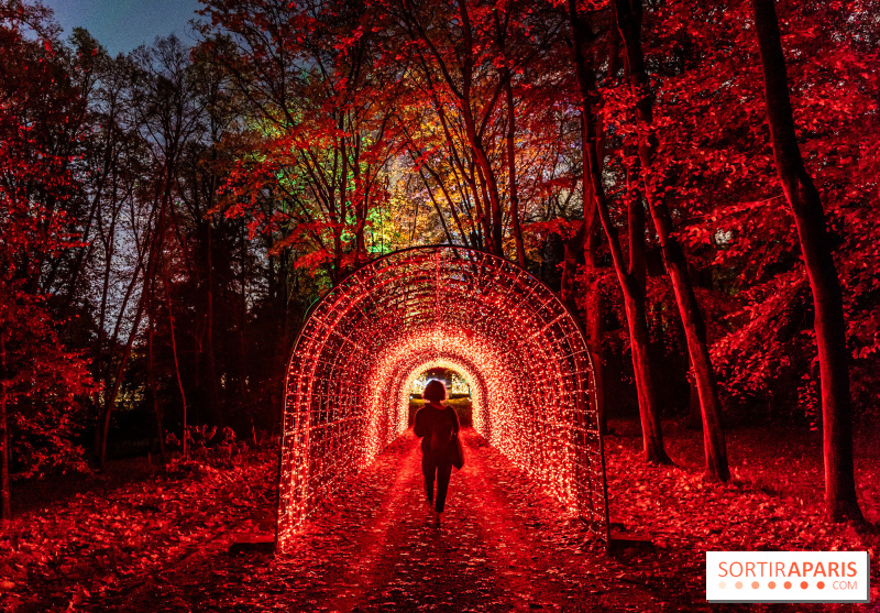 Lumières en Seine au Domaine de Saint-Cloud, le nouveau parcours féérique 2024-2025