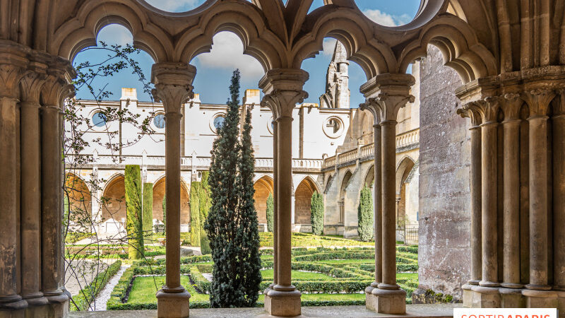 Halloween 2024 : visite nocturne théâtralisée et banquet effrayant à l’Abbaye de Royaumont (95)