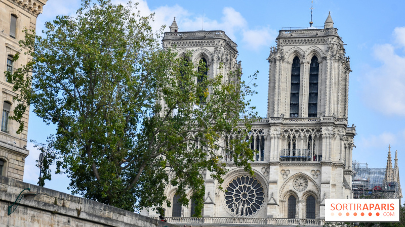 Notre-Dame de Paris : les événements et expositions en hommage à la célèbre cathédrale