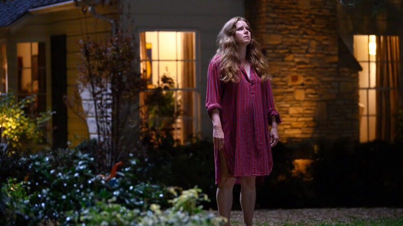 Nightbitch : Amy Adams métamorphosée dans une comédie horrifique sur Disney+