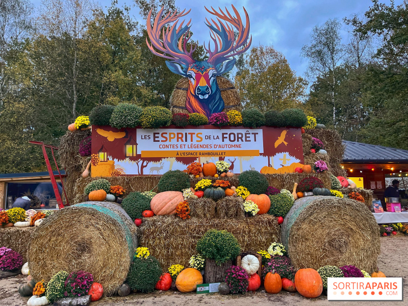 Les Esprits de la Forêt : spectacles et légendes pour Halloween à l’Espace Rambouillet (78)